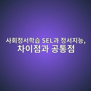 사회정서학습 SEL과 정서지능, 차이점과 공통점 2 ec82aced9a8ceca095ec849ced9599ec8ab5 seleab3bc eca095ec849ceca780eb8aa5 ecb0a8ec9db4eca090eab3bc eab3b5ed86b5eca090 1789569825